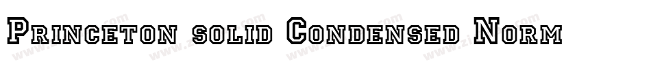 Princeton solid Condensed Normal字体转换
